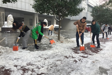 財鑫志愿者掃雪除冰保暢通