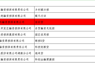 財(cái)科擔(dān)?！靶叛a(bǔ)貸”產(chǎn)品獲2022年湖南省融資創(chuàng)新考評(píng)獎(jiǎng)勵(lì)