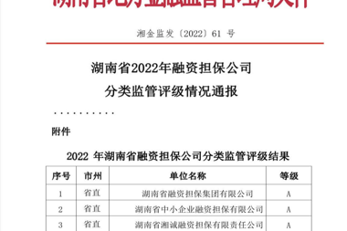 財(cái)鑫擔(dān)保榮獲2022年湖南金融監(jiān)管評(píng)級(jí)A級(jí)